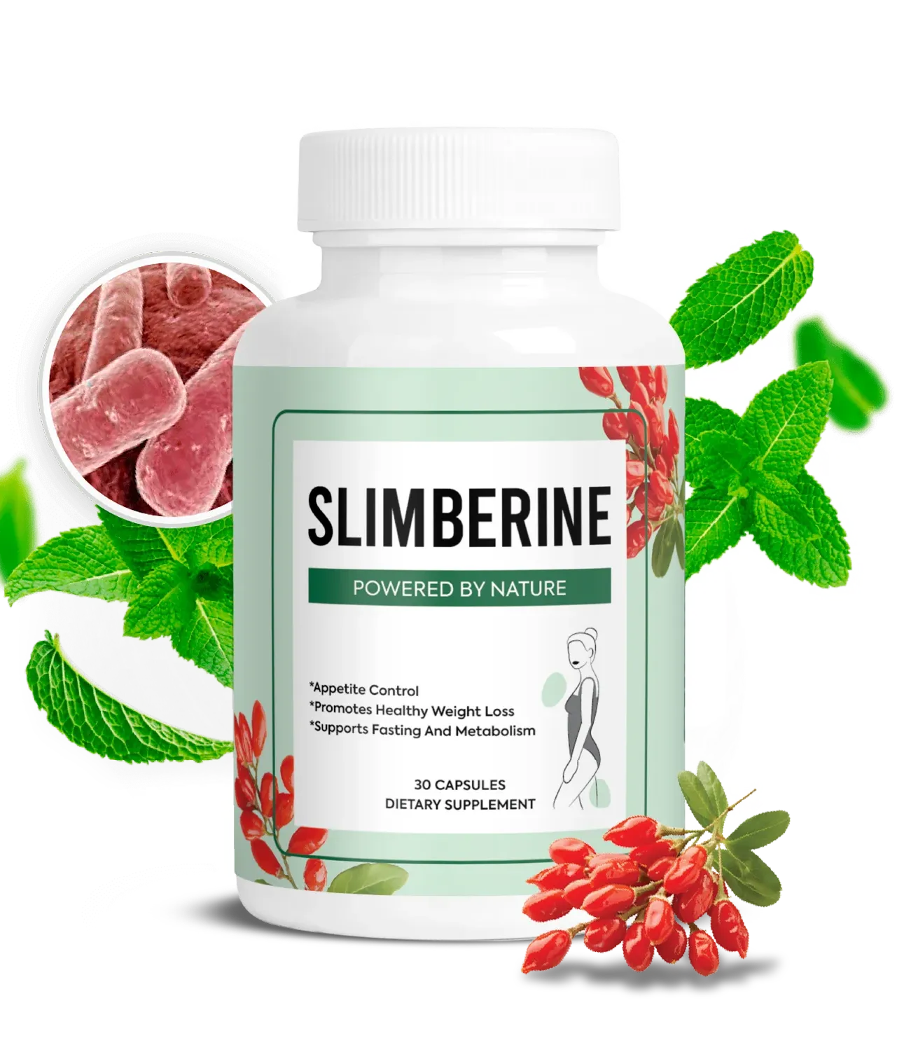 SlimBerine Supplement